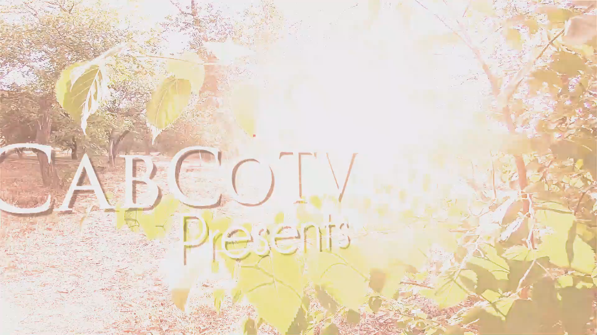 Cabarrus Experience RCCC Fire Training