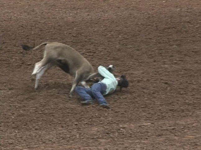 Channel 22 Cowboy ID #1