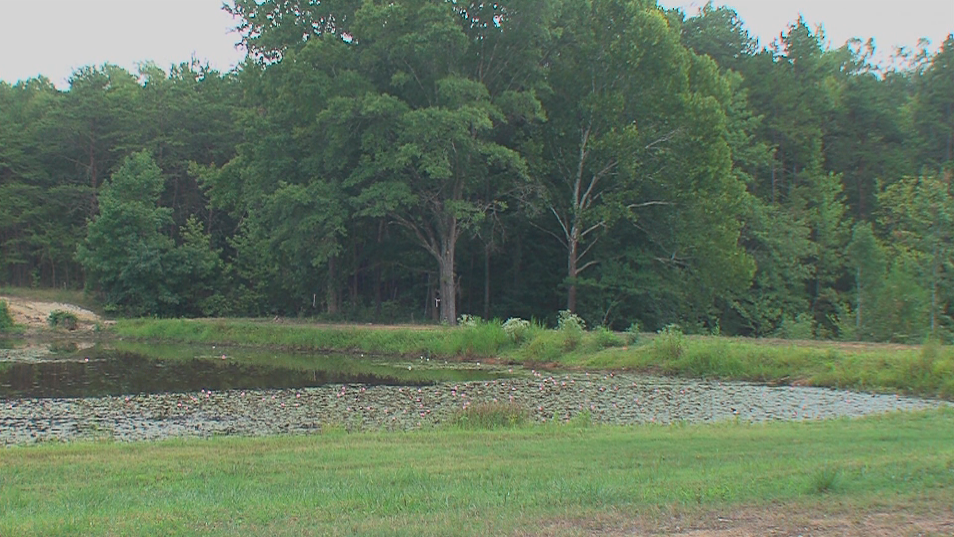 Out & About with Lynn - Active Living & Parks