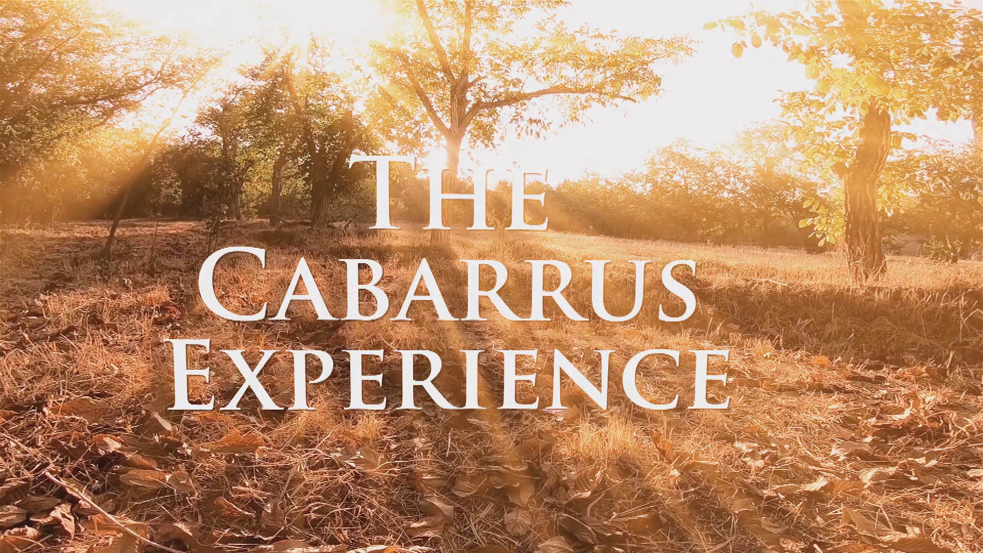 Cabarrus Experience - CCTS