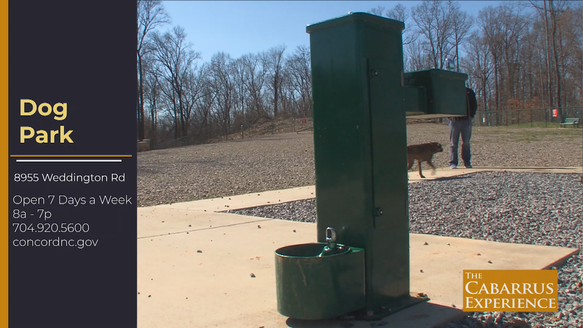 Cabarrus Experience - Dog Park